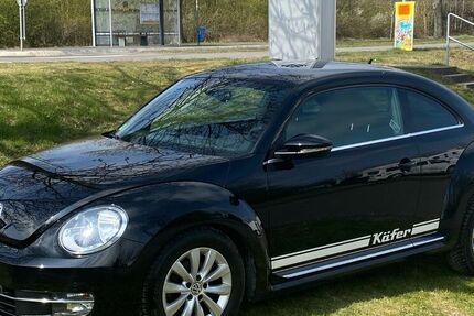 VW Beetle