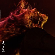 Diary Of Dreams - Live 2025 22.11.2025 Täubchenthal Leipzig