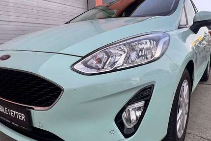 Ford Fiesta 66.925 km 10.900 &euro; Polenz 04821