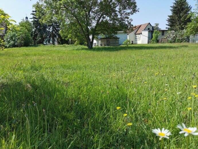 Mehrfamilienhaus, Wohnhaus Thallwitz - 1 Zimmer, 200 m&sup2;, 240.000&euro; | Angebot:25737490