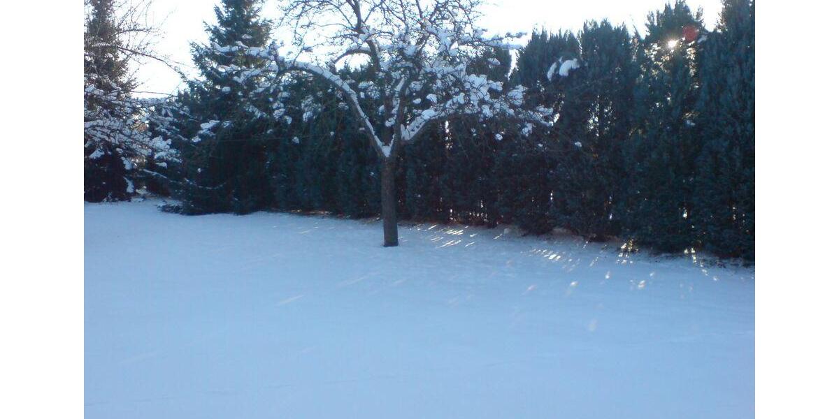 Bungalow Leipzig Südwest - 1 Zimmer, 50 m&sup2;, 80.000&euro; | Angebot:26056544