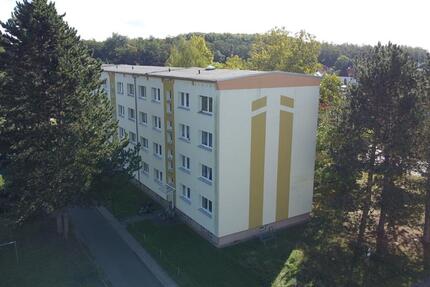 frisch sanierte 2-Raumwohnung wartet auf Sie zimmer