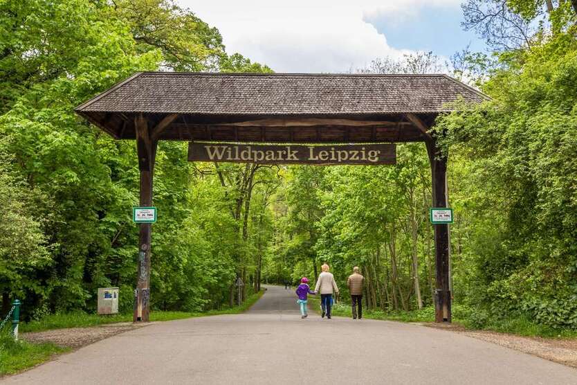 Wohlfühlwohnung am Auwald – 3 Zimmer mit cleverer Raumaufteilung 3 zimmer