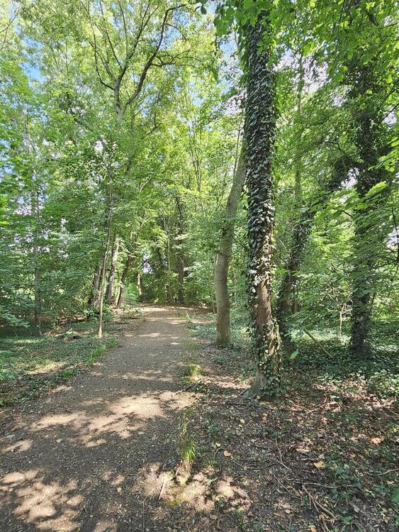Hochwertig sanierte 3-Zimmer Wohnung in grüner Umgebung am Stadtrand von Leipzig zimmer