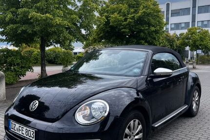 VW Beetle