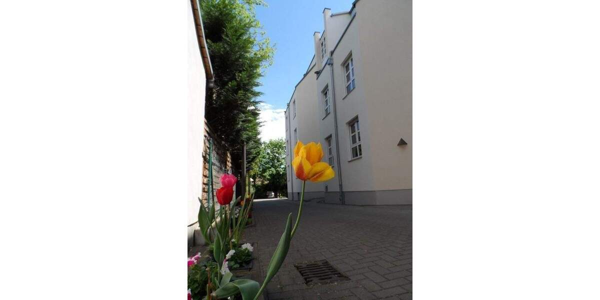  große 2- Raum Wohnung mit Balkon frei ab 01.03.2026 2 zimmer