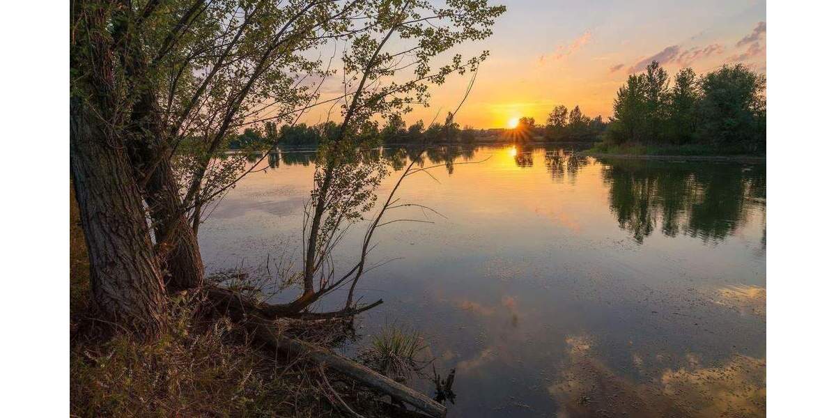 Etagenwohnung Naunhof - 4 Zimmer, 99 m&sup2;, 480.000&euro; | Angebot:26274140