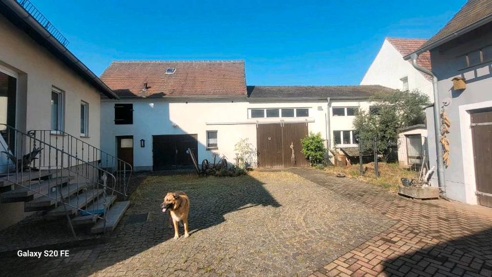 Einfamilienhaus Eilenburg - 9 Zimmer, 210 m&sup2;, 350.000&euro; | Angebot:26951340