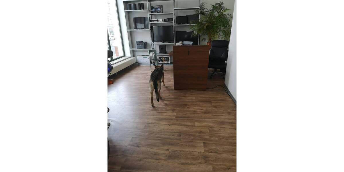 Gewerbeobjekt Leipzig Gohlis-Süd - 4 Zimmer, 225.000&euro; | Angebot:25916709
