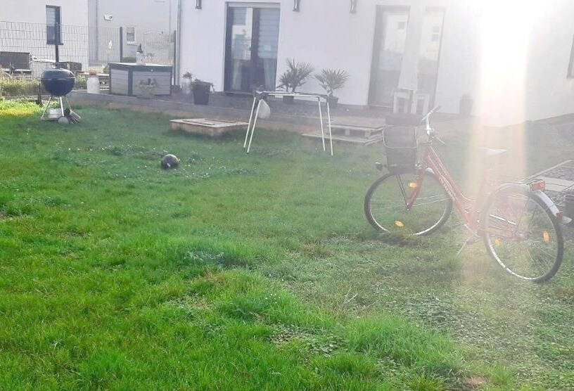 Einfamilienhaus Eilenburg - 4 Zimmer, 129 m&sup2;, 410.000&euro; | Angebot:25737494