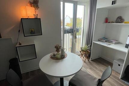 Wohnung vollmöbliert I 1-Raum I Leipzig-Süd 1 zimmer