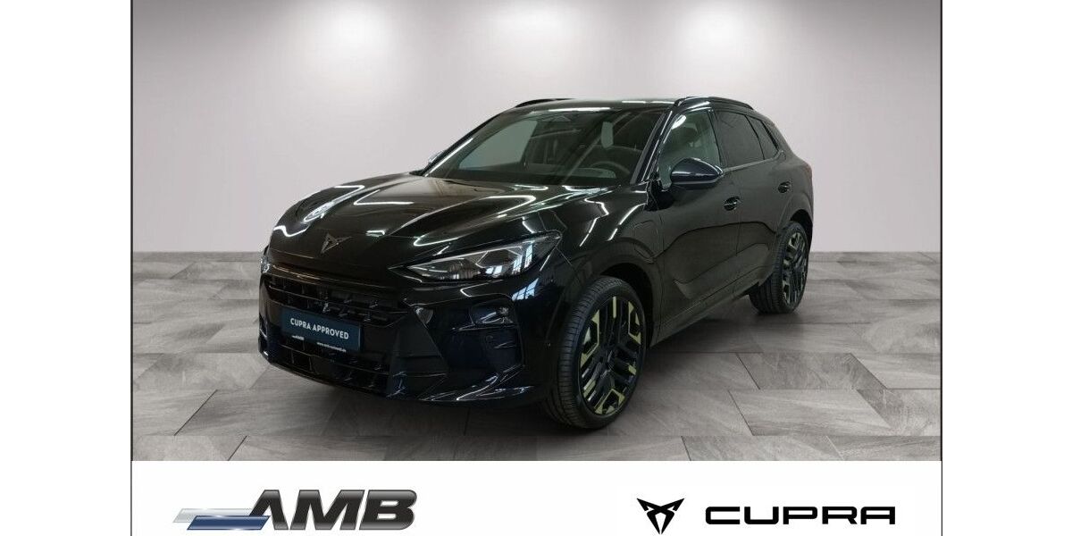 Cupra Terramar 5.000 km 53.950 &euro; Borna 04552