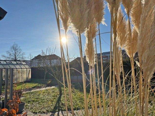 Einfamilienhaus Leipzig Heiterblick - 4 Zimmer, 151 m&sup2;, 698.000&euro; | Angebot:24727119