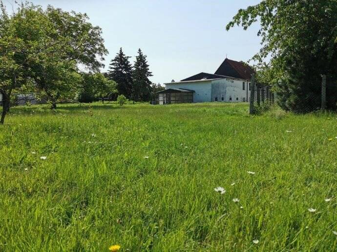 Mehrfamilienhaus, Wohnhaus Thallwitz - 1 Zimmer, 200 m&sup2;, 240.000&euro; | Angebot:25737490