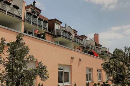 Wohnung zum Mieten in Wurzen 295 € 45 m² 1 zimmer