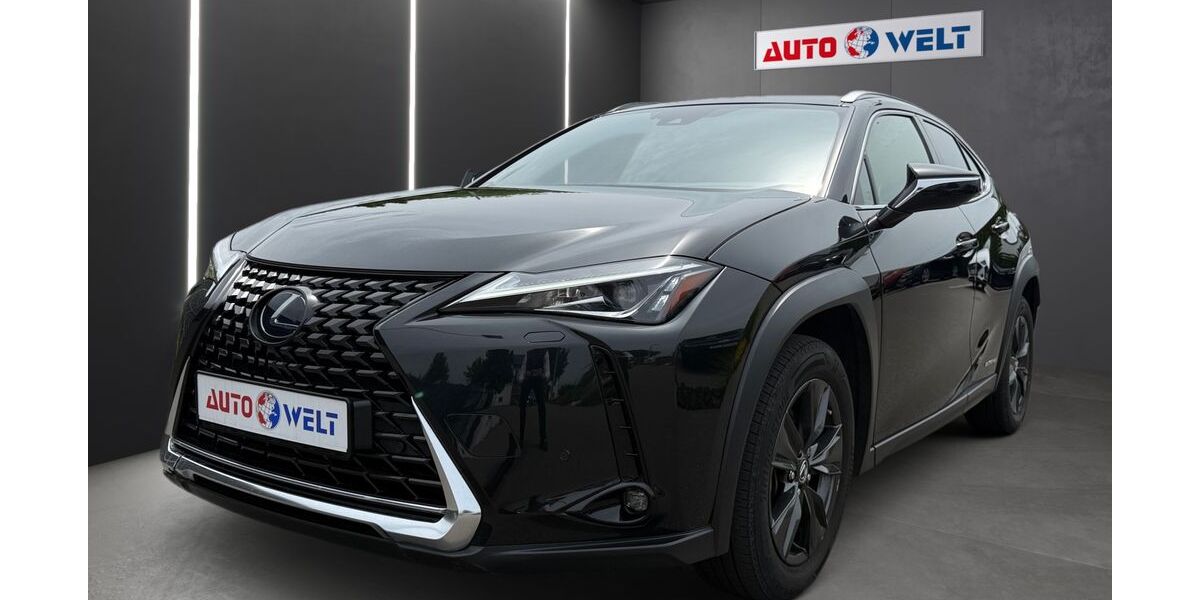 Lexus UX 76.220 km 20.450 &euro; Sandersdorf Brehna 06796