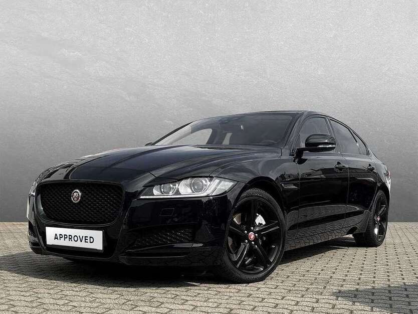 XF