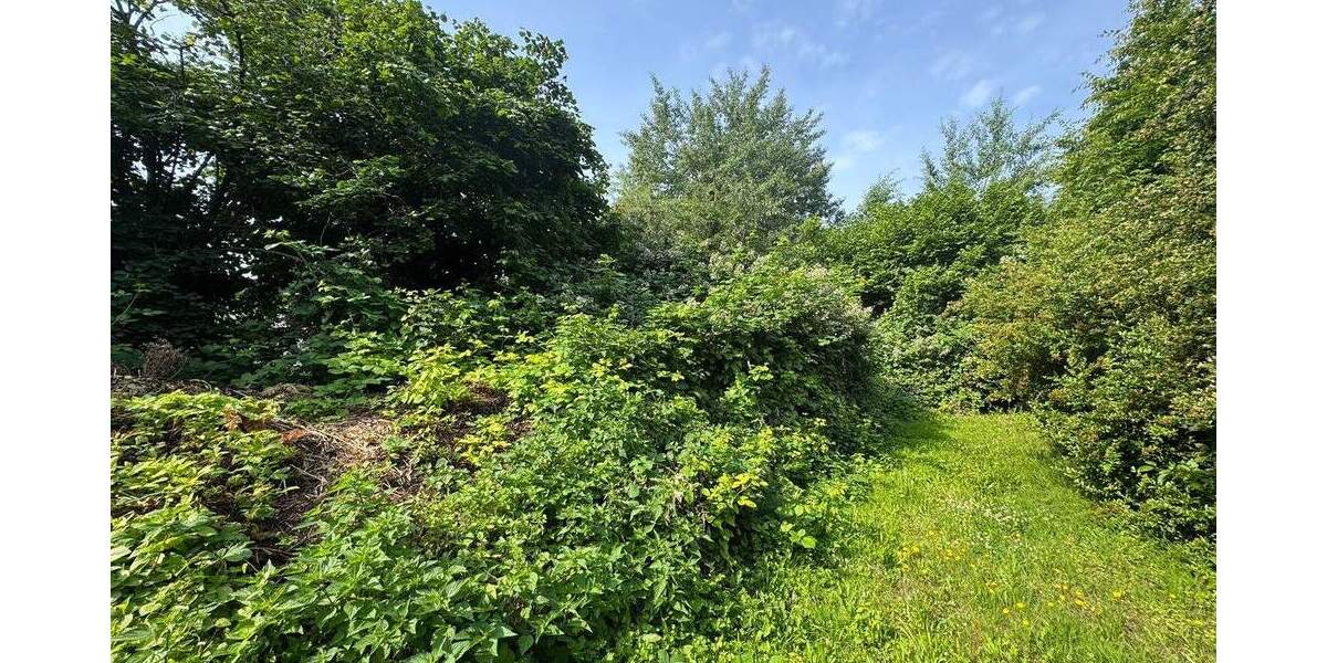 Grundstück Leipzig Liebertwolkwitz - 1.800.000&euro; | Angebot:25798266