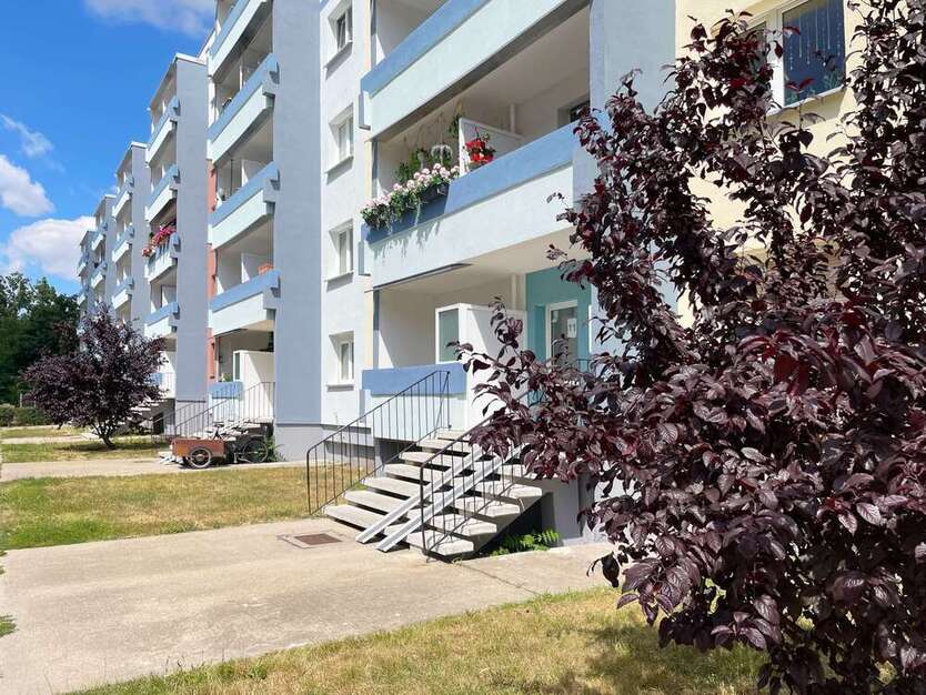 Wohnung zum Mieten in Halle 318 € 50 m²