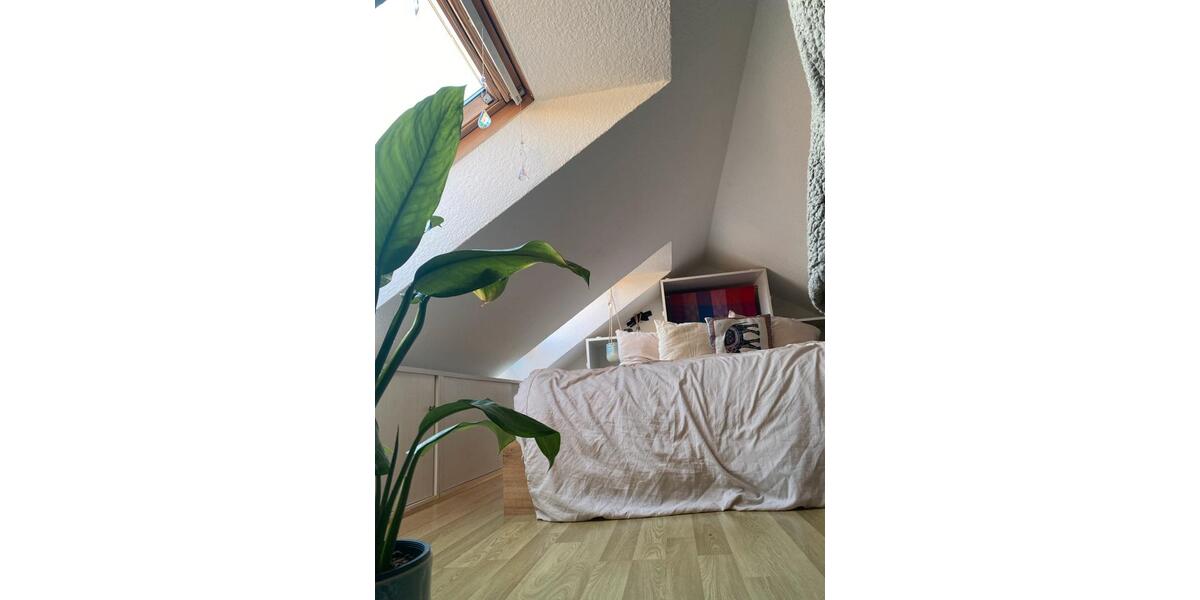 Dachgeschoßwohnung Leipzig Nordwest - 1 Zimmer, 32 m&sup2;, 525&euro; | Angebot:25393991