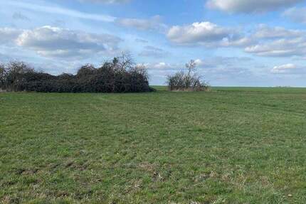 Grundstück Wurzen Kornhain - 45.000&euro; | Angebot:23866311