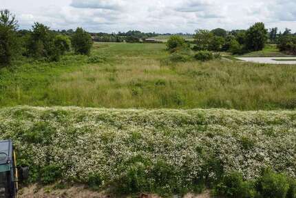 Grundstück zu verkaufen in Taucha 339.000 € 1158 m² zimmer