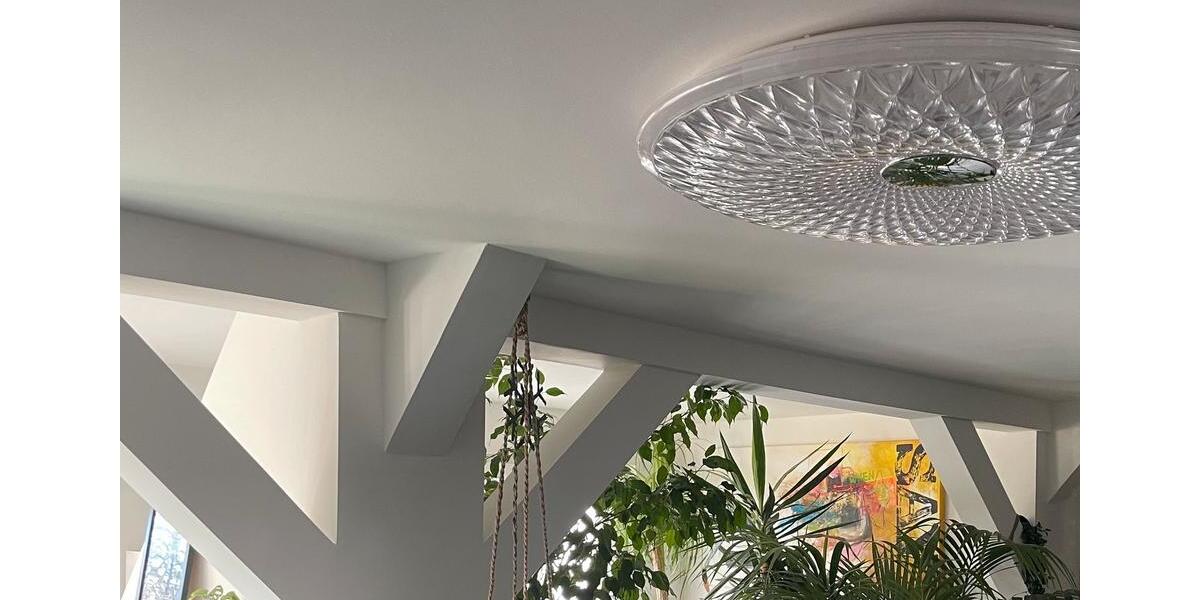 Dachgeschoßwohnung Markkleeberg - 2 Zimmer, 56 m&sup2;, 585&euro; | Angebot:26647415