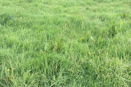 Attraktives 7.600-m²-Gewerbegrundstück in Leipzig-Heiterblick - provisionsfrei im Share Deal zimmer