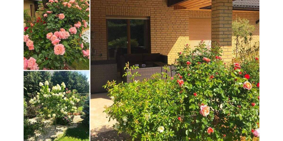 Bungalow Brandis - 6 Zimmer, 189 m&sup2;, 499.000&euro; | Angebot:25878481