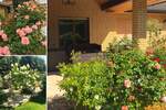 Bungalow Brandis - 6 Zimmer, 189 m&sup2;, 499.000&euro; | Angebot:25878481