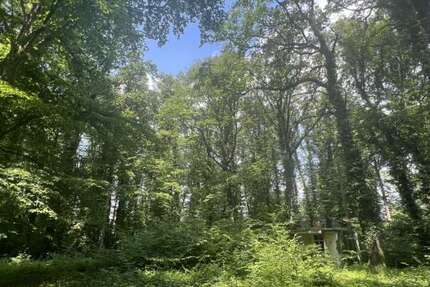 Grundstück Waldsteinberg Waldsteinberg - 375.000&euro; | Angebot:19490064