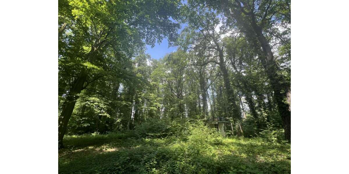 Grundstück Waldsteinberg Waldsteinberg - 375.000&euro; | Angebot:19490064