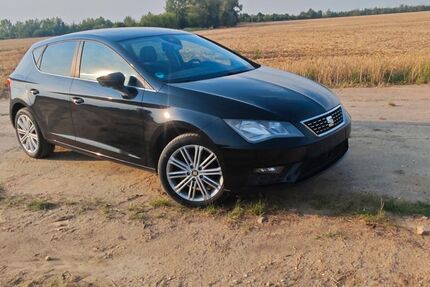Seat Leon 162.000 km 7.950 &euro; Pegau 04523