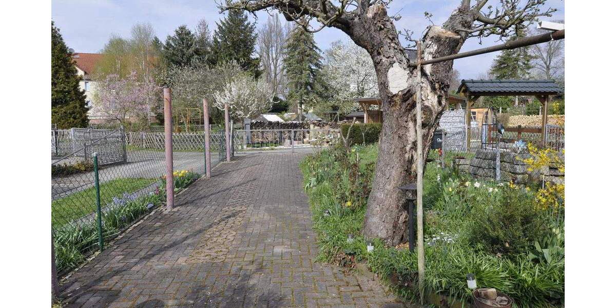 Reihenendhaus Regis-Breitingen Breitingen - 4 Zimmer, 100 m&sup2;, 45.000&euro; | Angebot:25672472