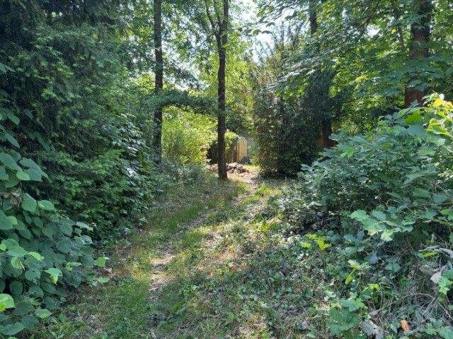 Grundstück Machern - 368.000&euro; | Angebot:25340693