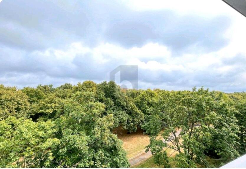 4 Zimmer Wohnung zum Verkauf in Grünau- Ost Leipzig Provisionfrei zimmer