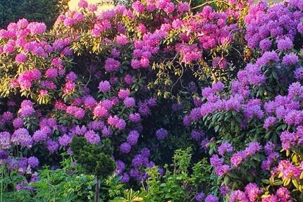 Haus Leipzig Lausen-Grünau - 5 Zimmer, 100 m&sup2;, 550.000&euro; | Angebot:25394767