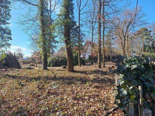 Grundstück Machern - 185.000&euro; | Angebot:25748546