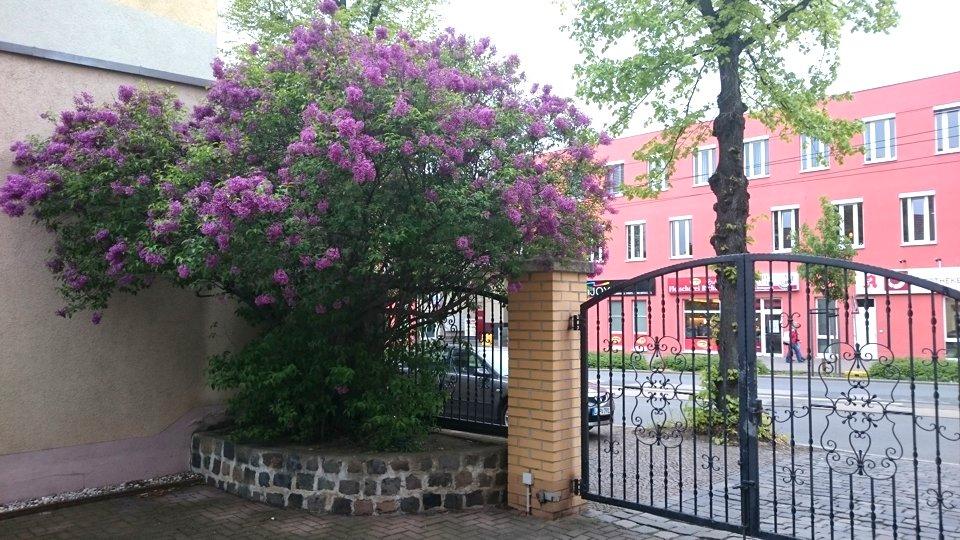 Etagenwohnung Leipzig Nordwest - 2 Zimmer, 64 m&sup2;, 549&euro; | Angebot:26407555