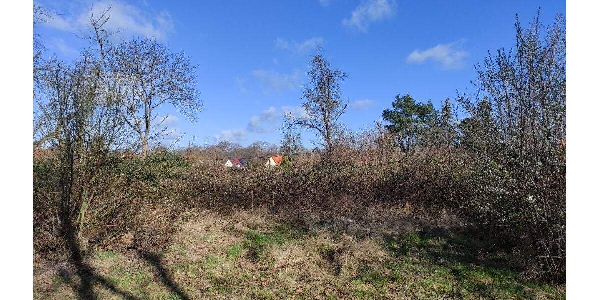 Grundstück Machern - 185.000&euro; | Angebot:25738685