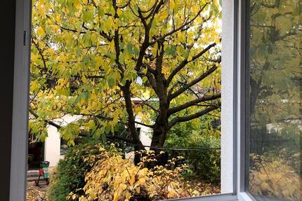 Haus mit Garten zur Zwischenmiete ***11.01.-21.02.2026*** zimmer