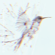 Katapult: Chirp Leipzig