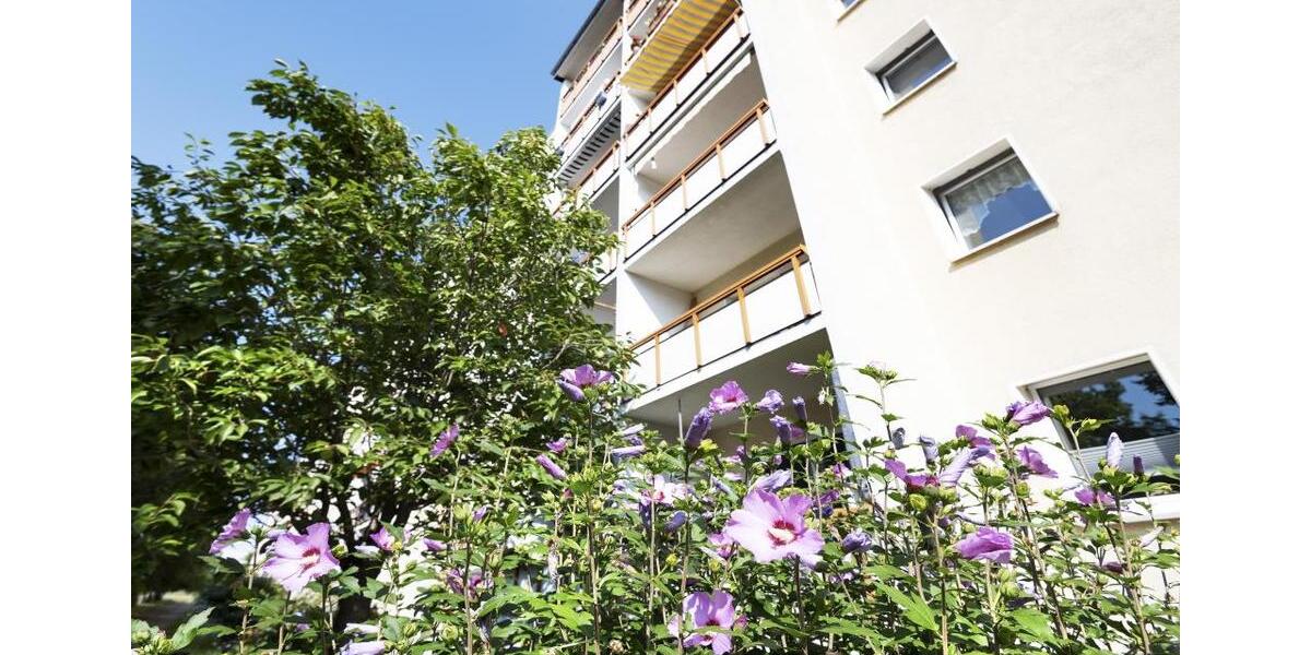 Etagenwohnung Leipzig Lausen-Grünau - 3 Zimmer, 69 m&sup2;, 345&euro; | Angebot:26534398