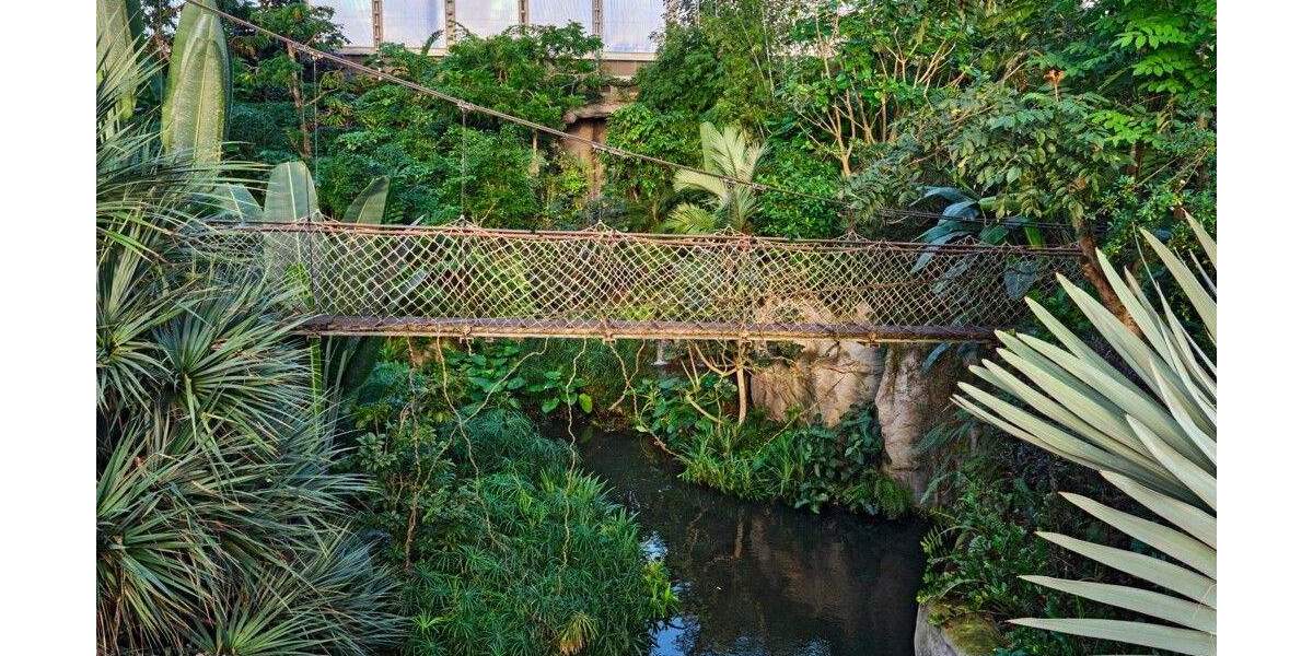 Einfamilienhaus Leipzig Zentrum-Nord - 2 Zimmer, 180.000&euro; | Angebot:25673829