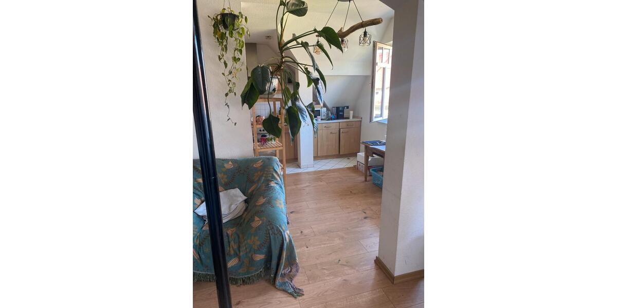 Etagenwohnung Leipzig Nordost - 2 Zimmer, 53 m&sup2;, 50&euro; | Angebot:26383935