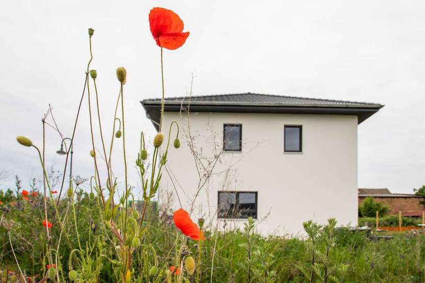 BAUTRÄGERFREI: Ellerbacher Höfe: ANKOMMEN.WOHLFÜHLEN.BLEIBEN. zimmer
