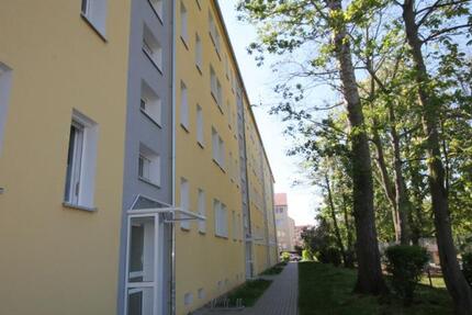 3 Monate Kaltmiete sparen! zimmer