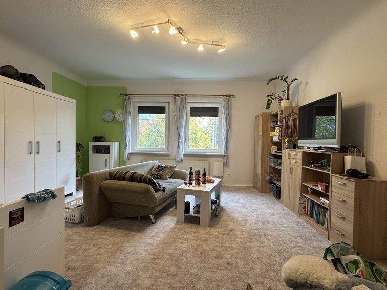 Mehrfamilienhaus, Wohnhaus Leipzig Seehausen - 1 Zimmer, 483 m&sup2;, 895.000&euro; | Angebot:25693402