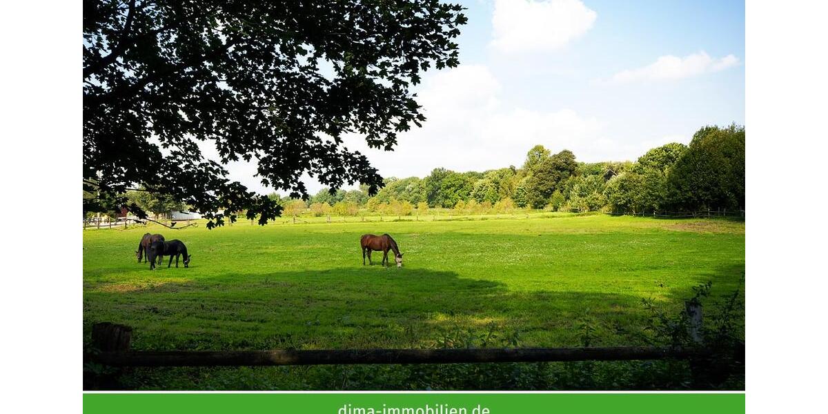Maisonettenwohnung Leipzig Südwest - 4 Zimmer, 139 m&sup2;, 1.668&euro; | Angebot:26533084