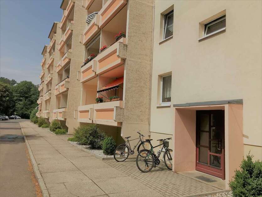Wohnung zum Mieten in Wurzen 280 € 48.5 m²